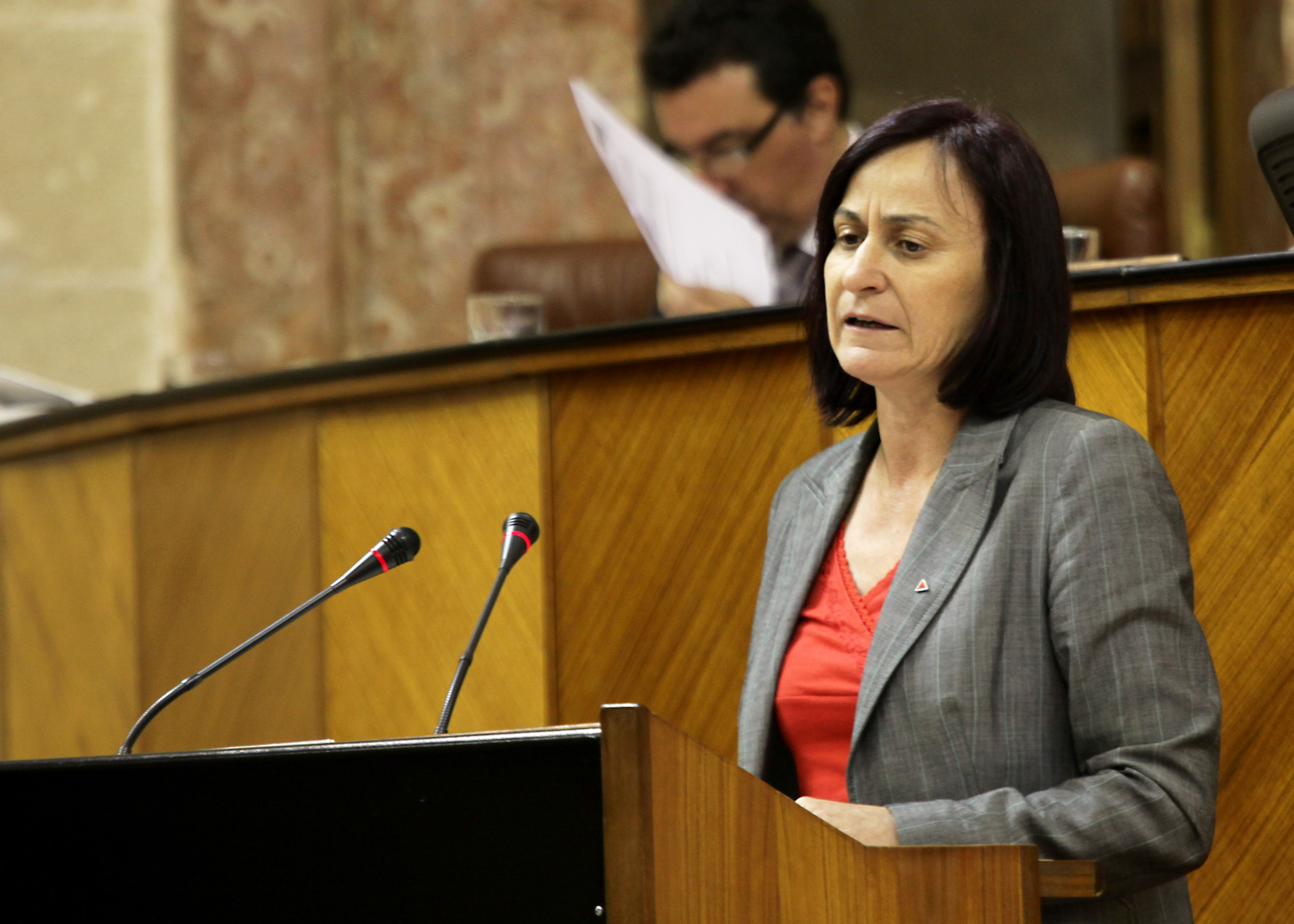 Rosal�a Mart�n, de Izquierda Unida, explica la posici�n de su grupo sobre la convalidaci�n del Decreto Ley debatido hoy en el Parlamento