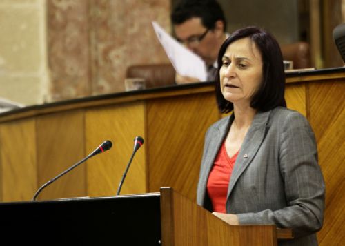 Rosal�a Mart�n, de Izquierda Unida, explica la posici�n de su grupo sobre la convalidaci�n del Decreto Ley debatido hoy en el Parlamento