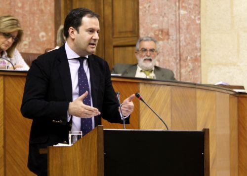Adolfo Molina, del Grupo Popular, durante su intervenci�n sobre la convalidaci�n del Decreto Ley 8/2013 en el Pleno de hoy