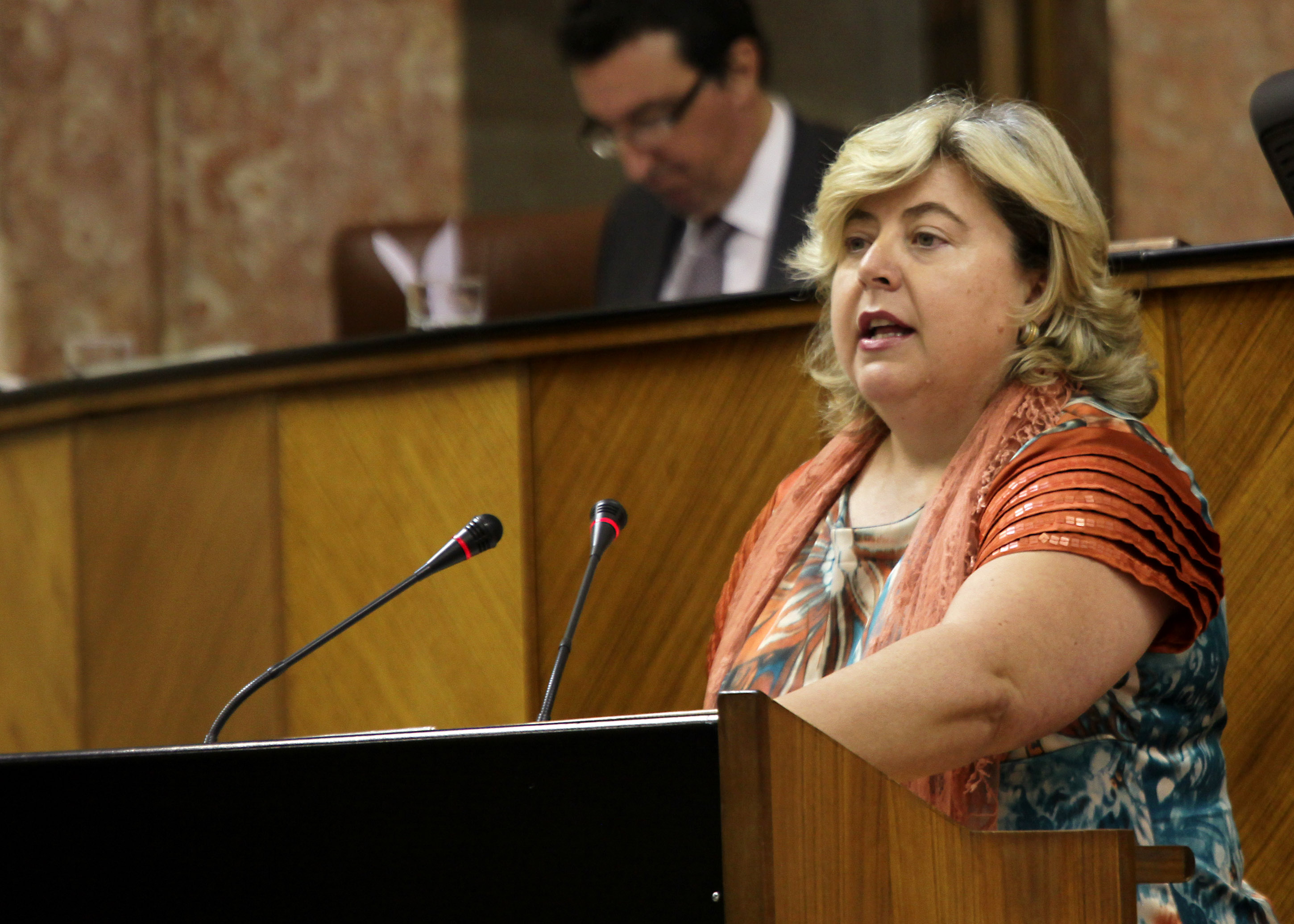 Clara Aguilera expone la posici�n del Grupo Socialista sobre la convalidaci�n del Decreto Ley de medidas de creaci�n de empleo y fomento del emprendimiento