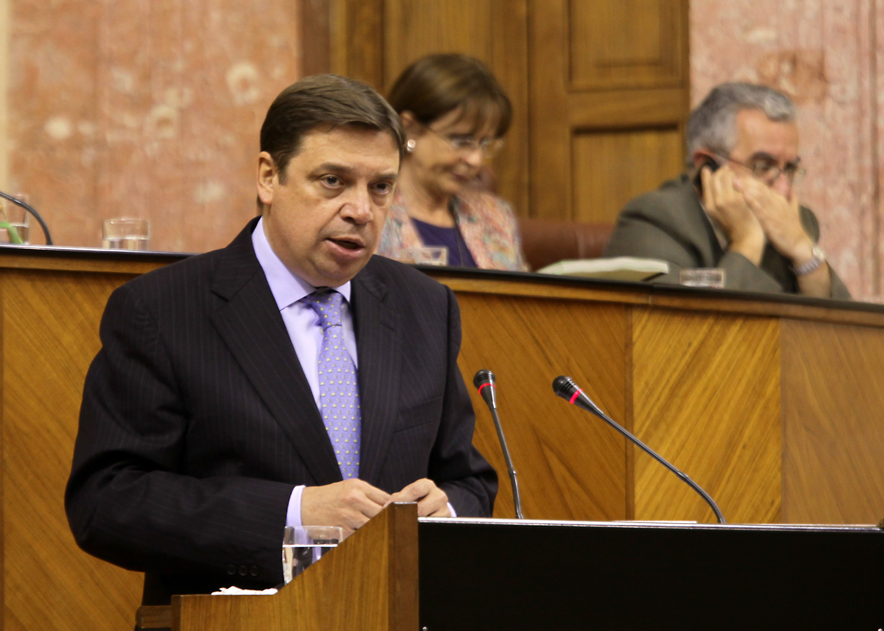 Luis Planas, consejero de Agricultura, Pesca y Medio Ambiente, durante su comparecencia ante la C�mara para informar sobre el estado actual de las negociaciones de la PAC y su repercusi�n en Andaluc�a