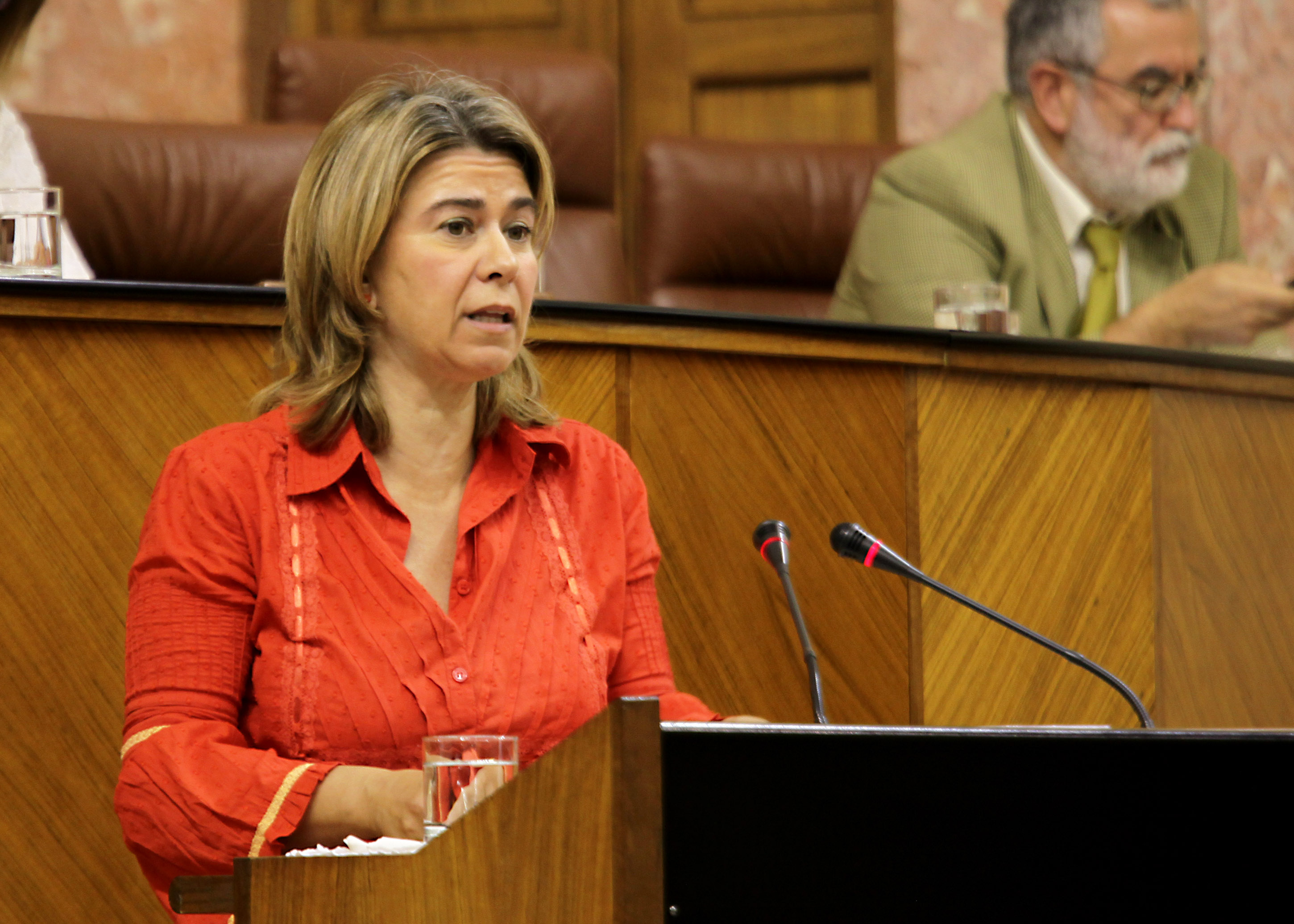Teresa Ruiz-Sillero, del Grupo Popular, presenta al Pleno una moci�n sobre pol�tica general en materia de empleo