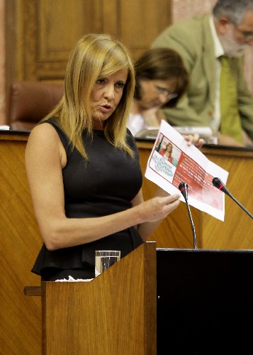 Mar�a del Rosario Alarc�n, del Grupo Popular, en el debate de la interpelaci�n