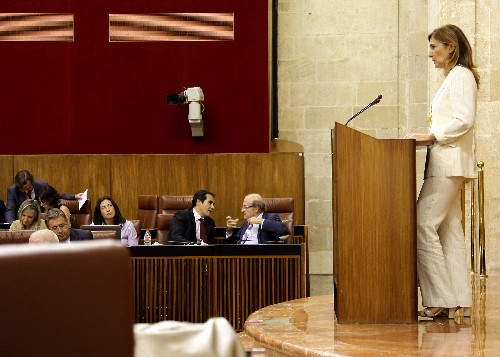 Alicia Martnez, del Grupo Popular, durante el debate final de la Ley de funcin social de la vivienda