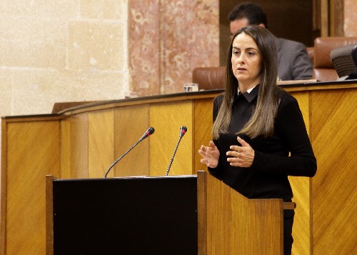 Arnzazu Martn Moya presenta al Pleno una interpelacin del Grupo Popular sobre poltica general en materia de universidades