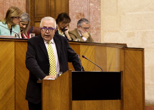 El consejero de Economa, Innovacin, Ciencia y Empleo responde a la interpelacin del Grupo Popular