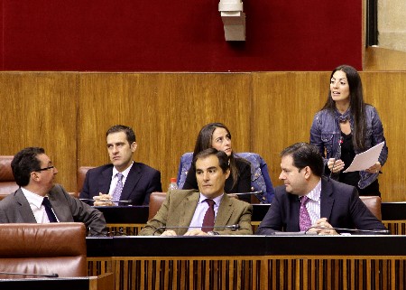 Rosario Soto, del Grupo Popular, plantea una pregunta en el Pleno a la consejera de Hacienda