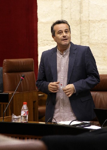 El portavoz del Grupo parlamentario IULV-CA, Jos Antonio Castro