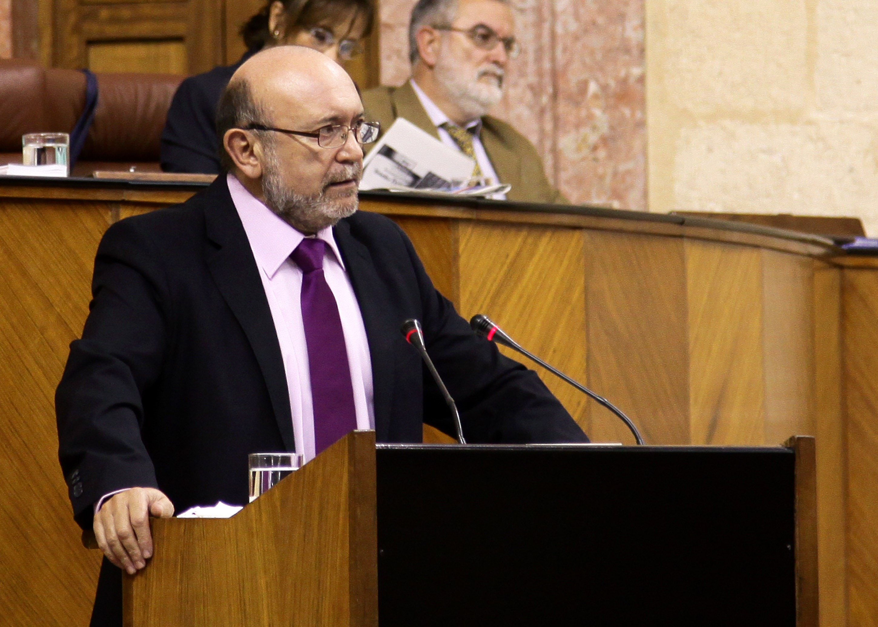 Ignacio Garca presenta una proposicin del Grupo IULV-CA sobre software libre
