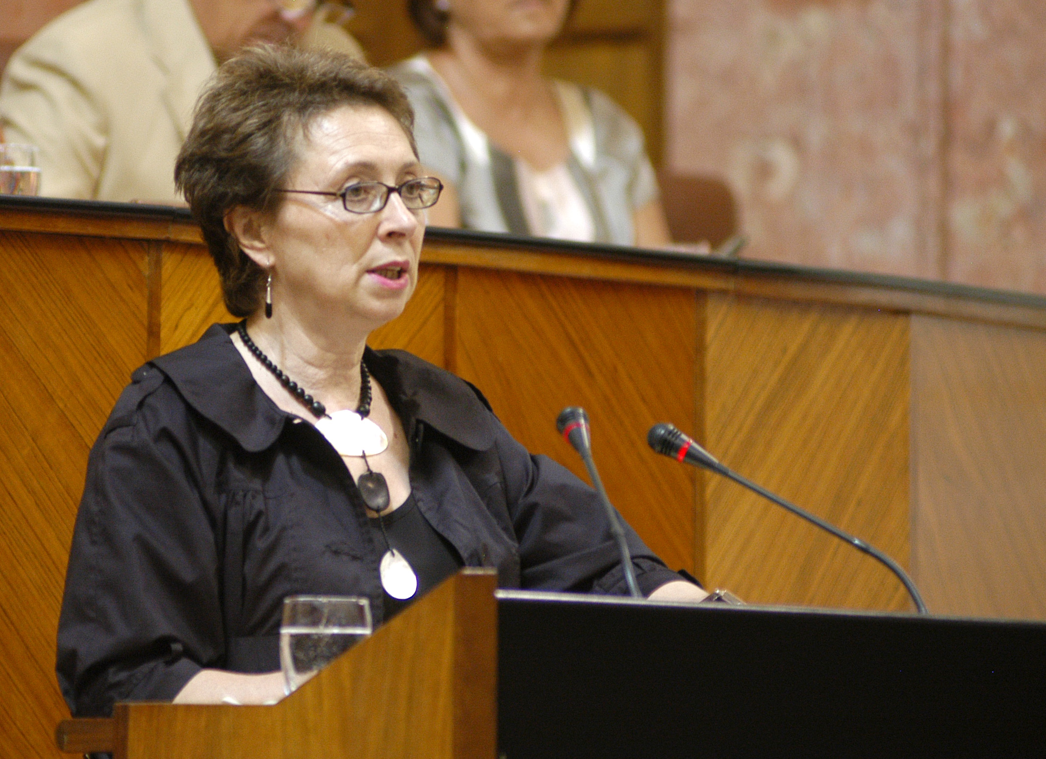 La consejera de Economa y Hacienda, Carmen Martnez Aguayo, se dirige al Pleno durante la sesin extraordinaria sobre financiacin autonmica