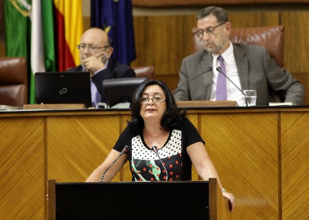 Mar Moreno, del Grupo Socialista, interviene en el debate