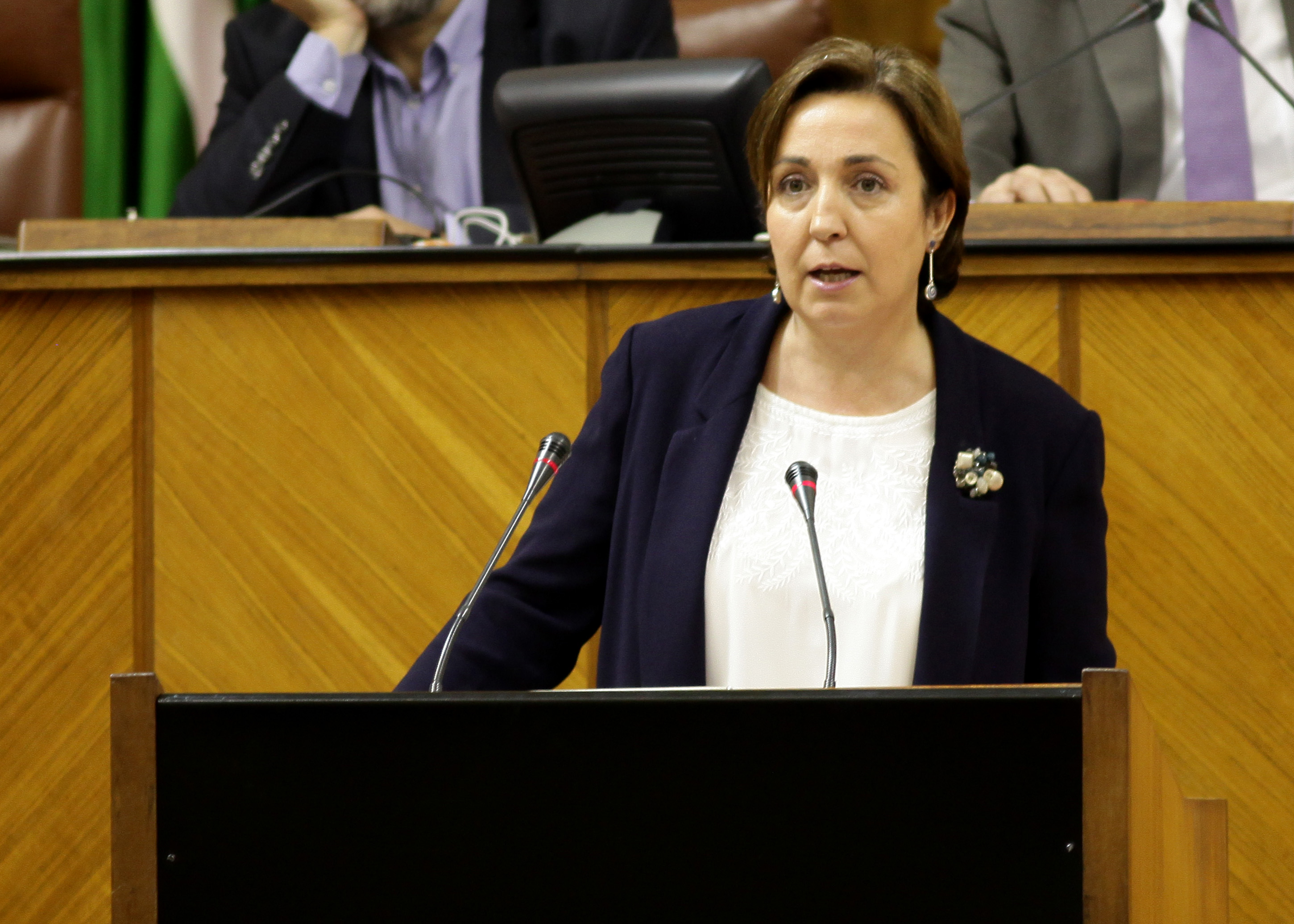 La diputada del Grupo Popular Ana Corredera