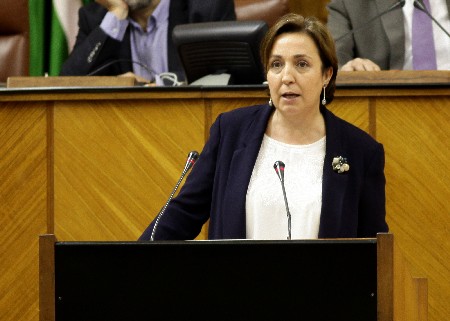 La diputada del Grupo Popular Ana Corredera