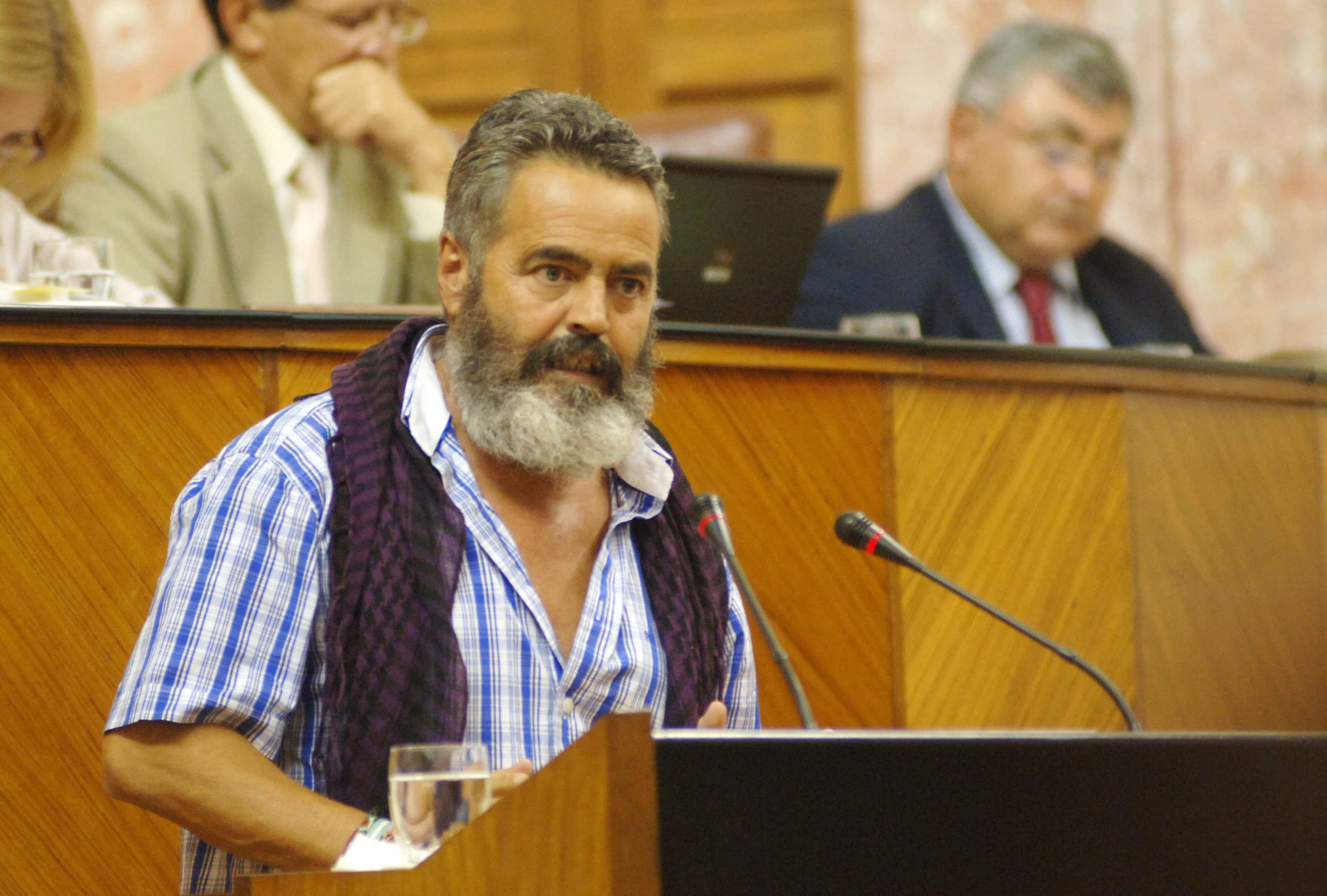Snchez Gordillo defendi en nombre de IU LV-CA un texto alternativo
