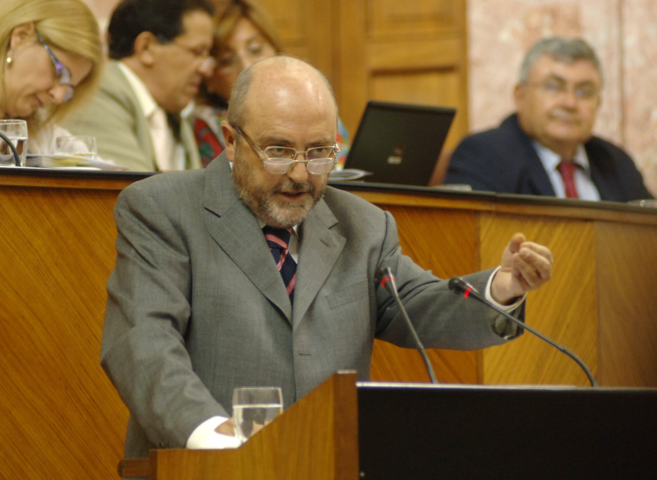 Jos Caballos defendi la postura del Grupo Socialista