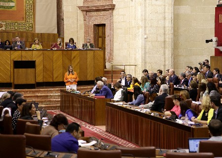 El Pleno, durante una de las intervenciones de la presidenta de la Junta de Andaluca en la ltima sesin de control