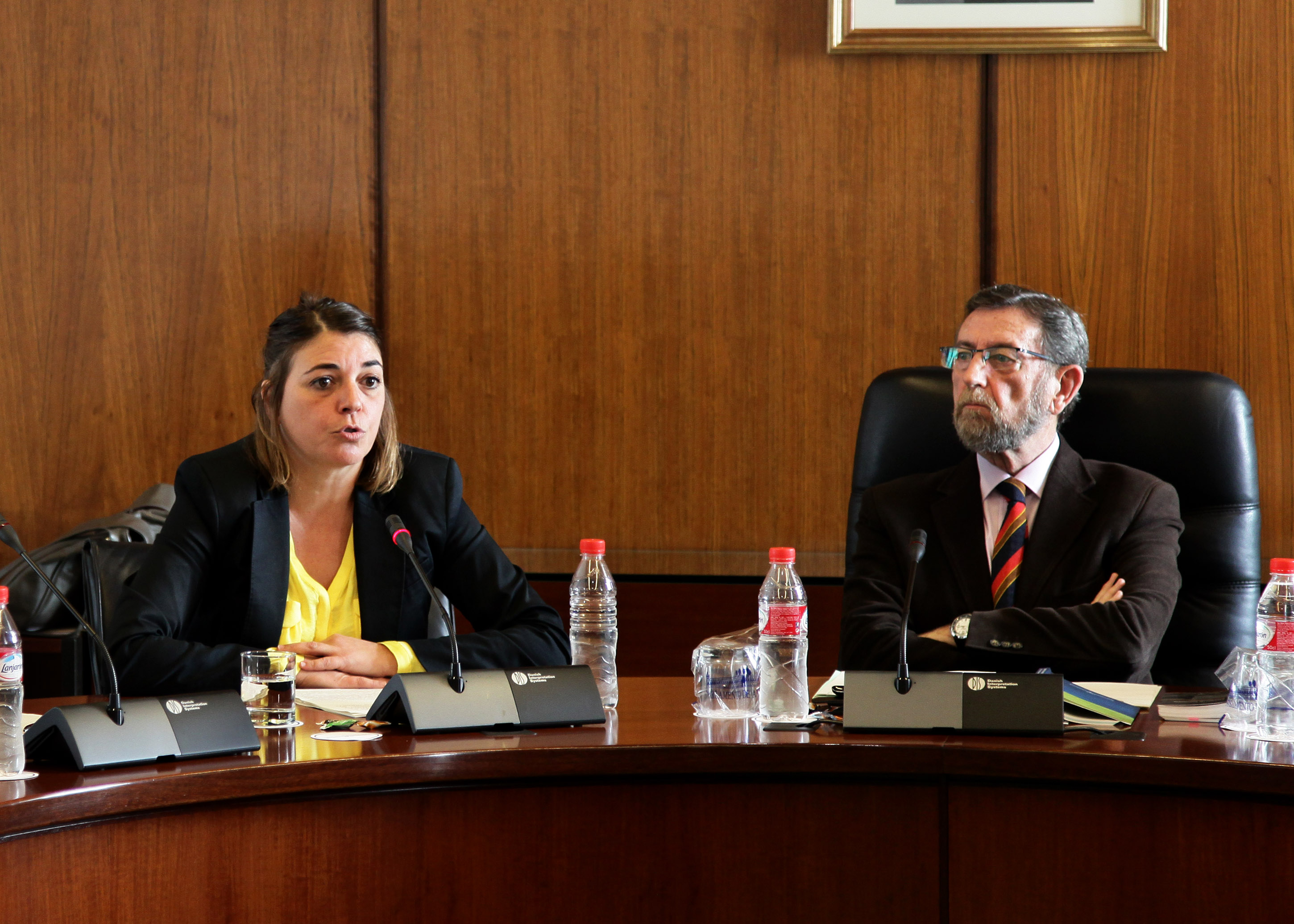 Elena Corts, consejera de Fomento y Vivienda, interviene en la Diputacin Permanente
