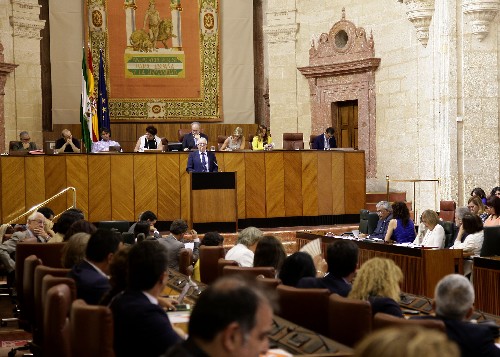 Jos� S�nchez Maldonado, consejero de Empleo, Empresa y Comercio, interviene en el Pleno