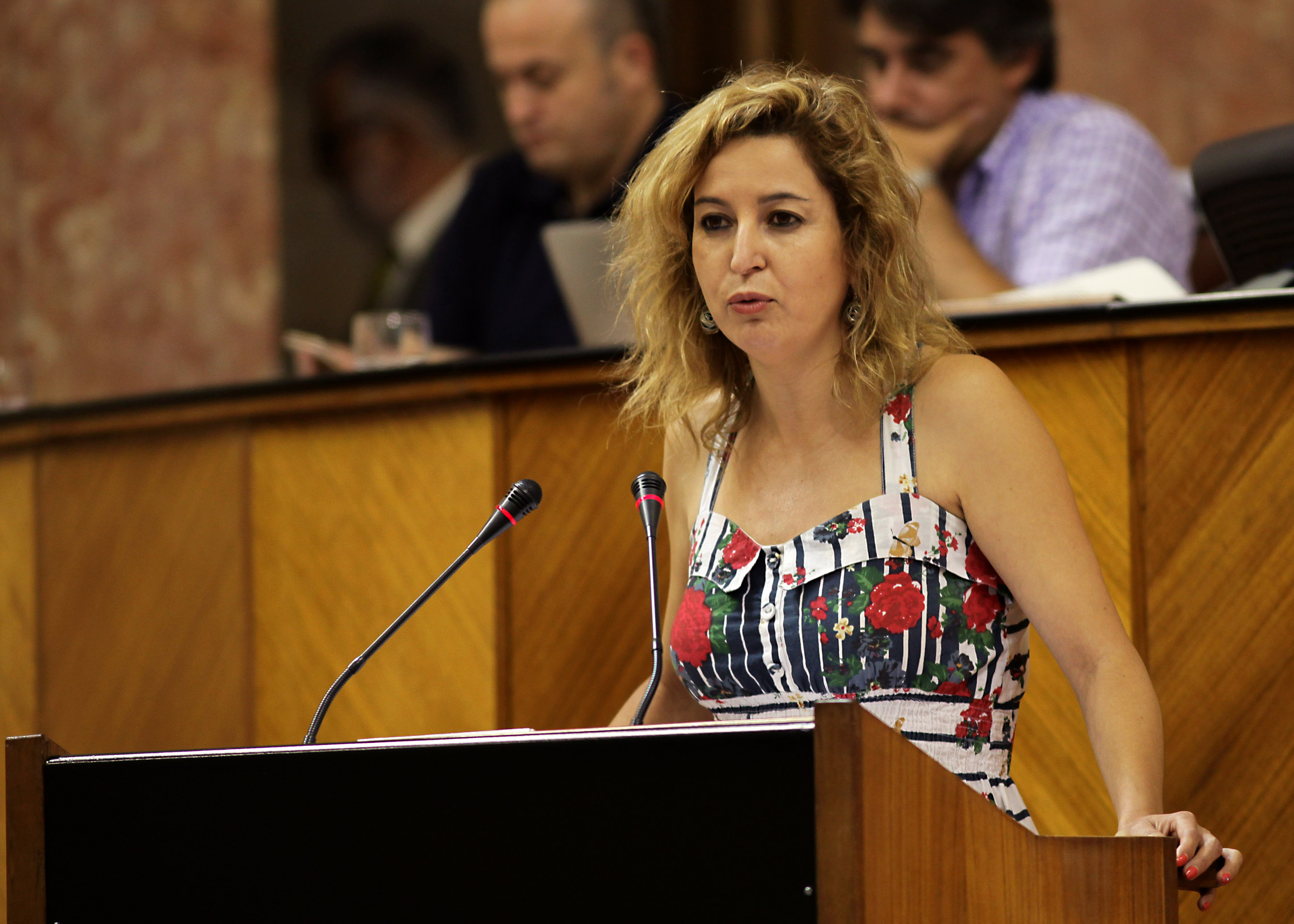 La diputada del Grupo Podemos Andaluc�a Carmen Liz�rraga interviene ante el Pleno del Parlamento