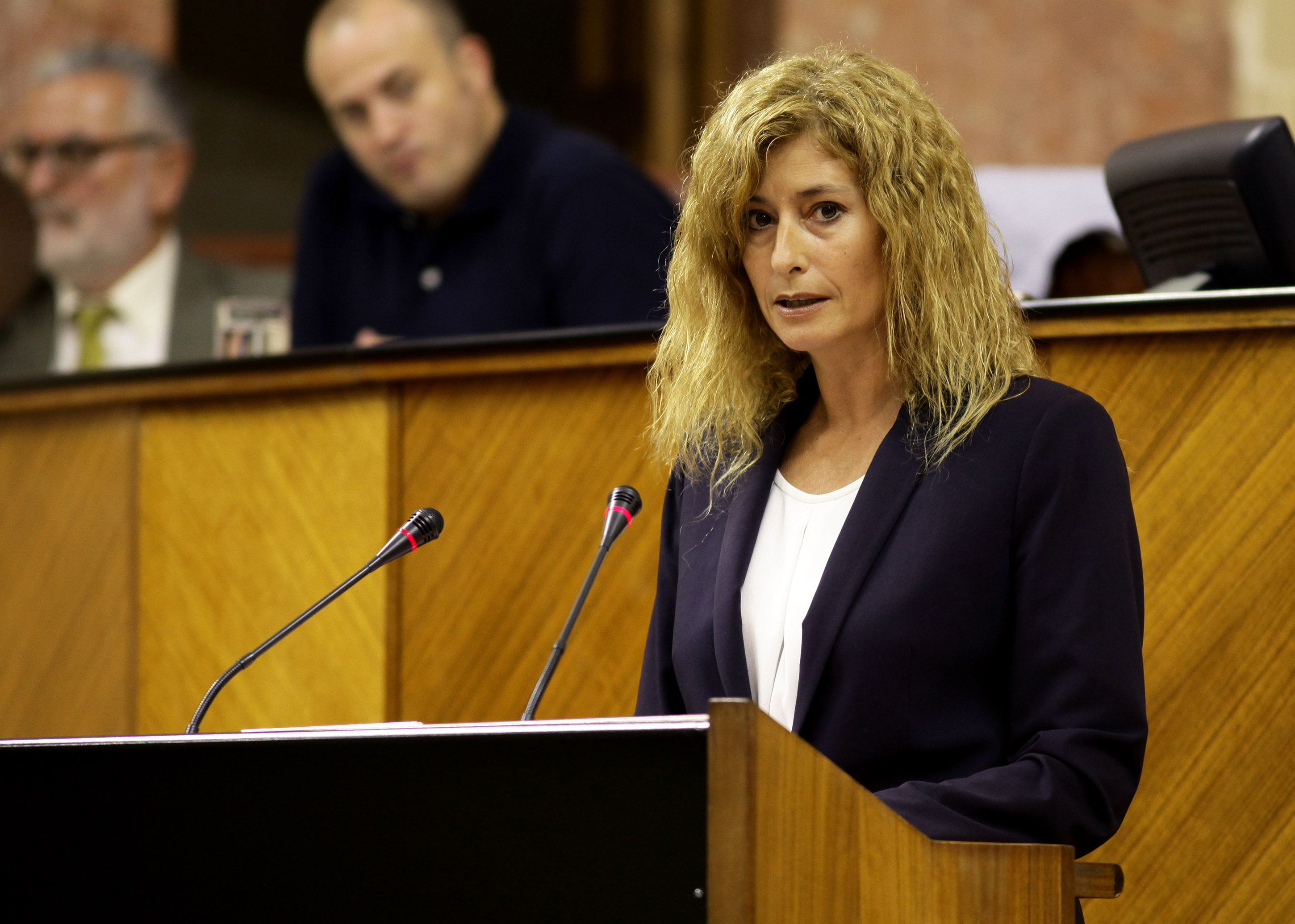 La portavoz adjunta del Grupo Ciudadanos, Irene Rivera, interviene ante el Pleno
