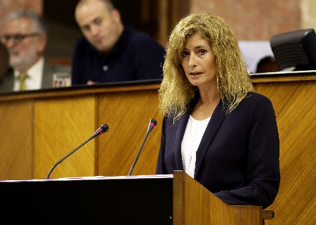 La portavoz adjunta del Grupo Ciudadanos, Irene Rivera, interviene ante el Pleno