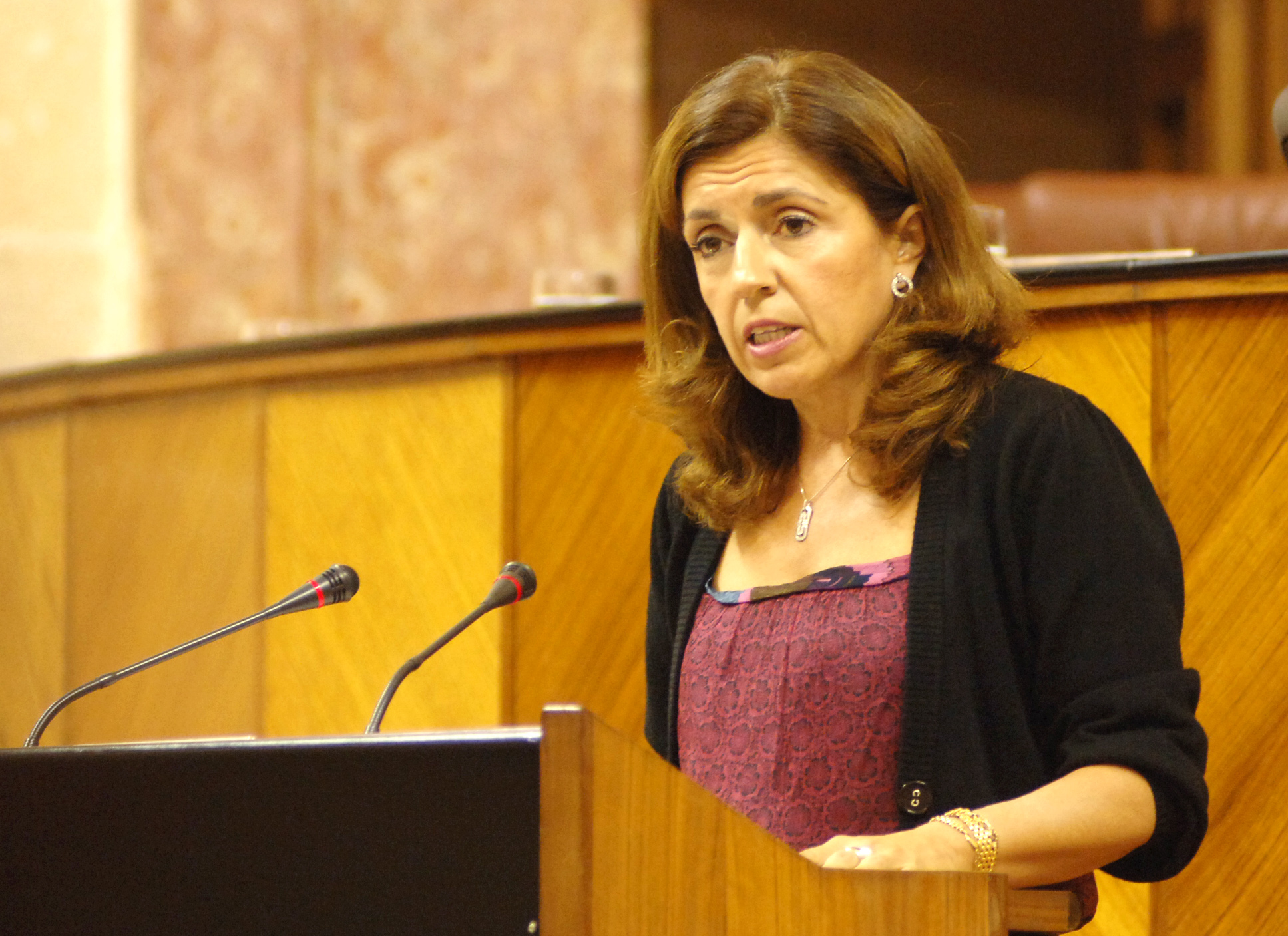 Mara Jess Botella, del Grupo Popular, en el debate