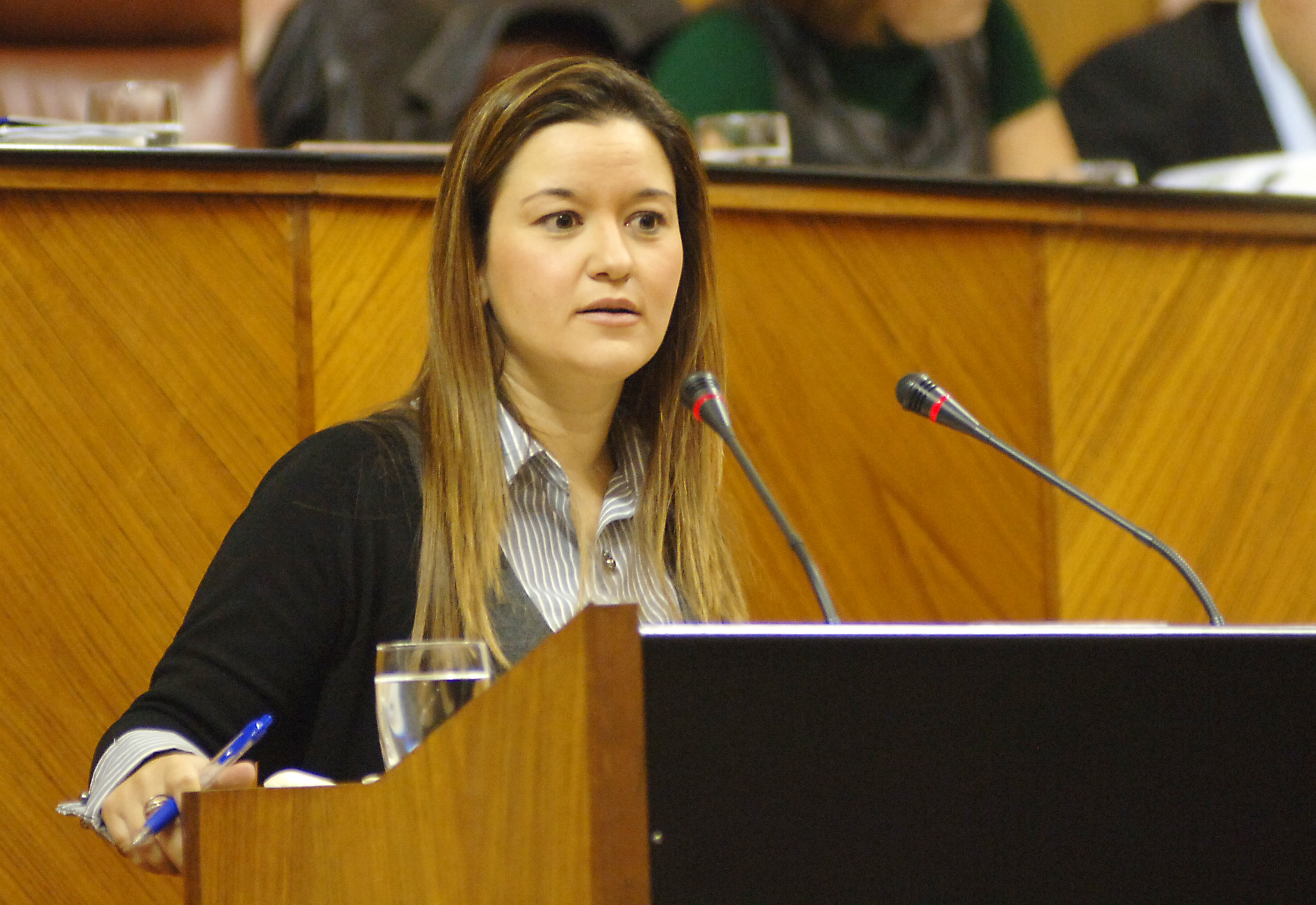 Vernica Prez, del Grupo Socialista