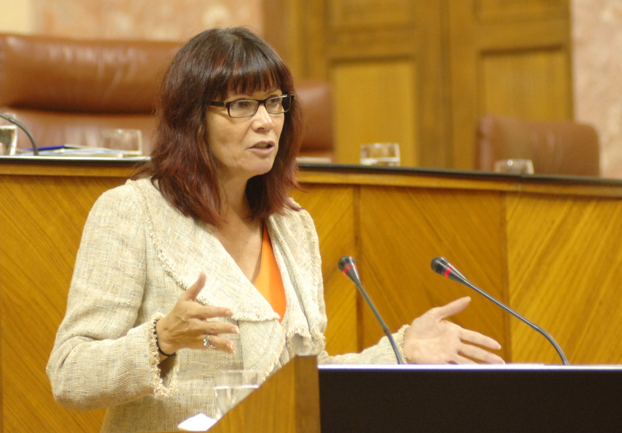 Micaela Navarro, consejera para la Igualdad, explica el Informe Anual sobre Violencia de Gnero