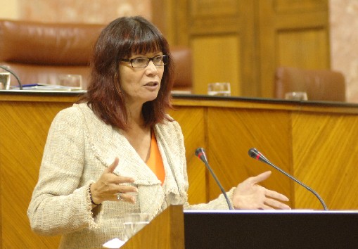 Micaela Navarro, consejera para la Igualdad, explica el Informe Anual sobre Violencia de Gnero
