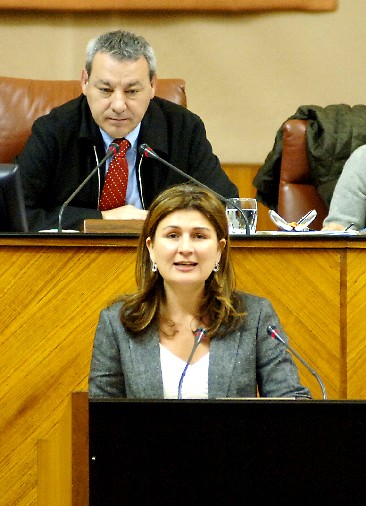 La diputada popular Rosala Espinosa abre la segunda jornada del Pleno defendiendo una mocin sobre poltica interior