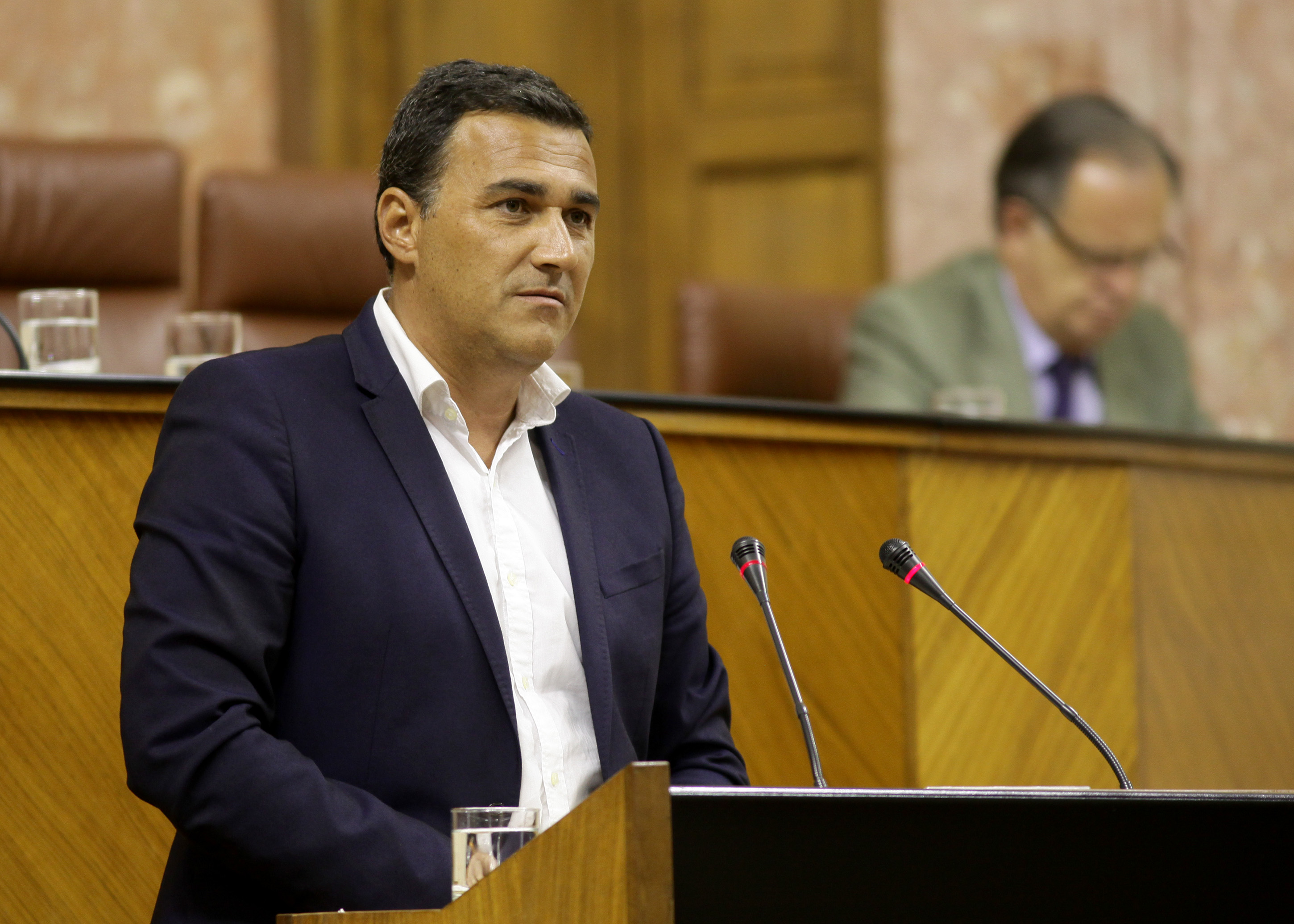 El diputado de Ciudadanos, Carlos Hernndez White