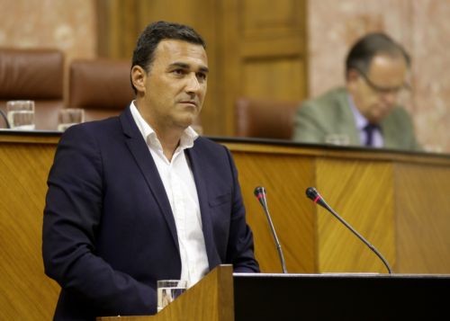 El diputado de Ciudadanos, Carlos Hernndez White