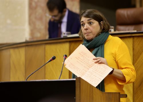 Elena Corts interviene en nombre de IULV-CA