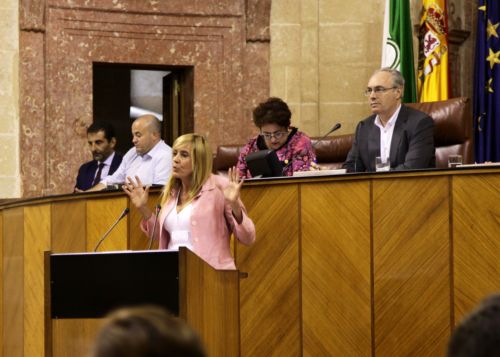 Juan Pablo Durn dirige la sesin mientras desde la tribuna interviene la diputada del Grupo Popular Rosario Alarcn 