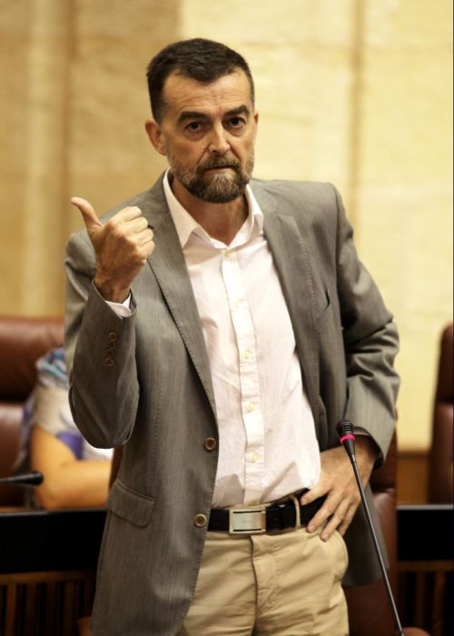 El portavoz de IULV-CA, Antonio Mallo, durante su intervencin en la sesin de control