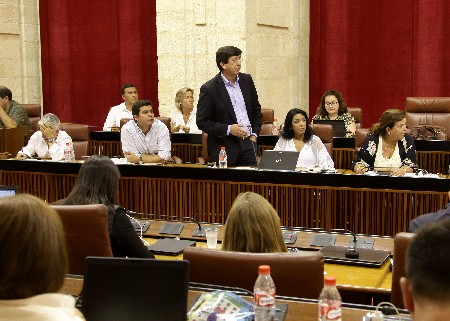 El portavoz del Grupo Ciudadanos, Juan Marn