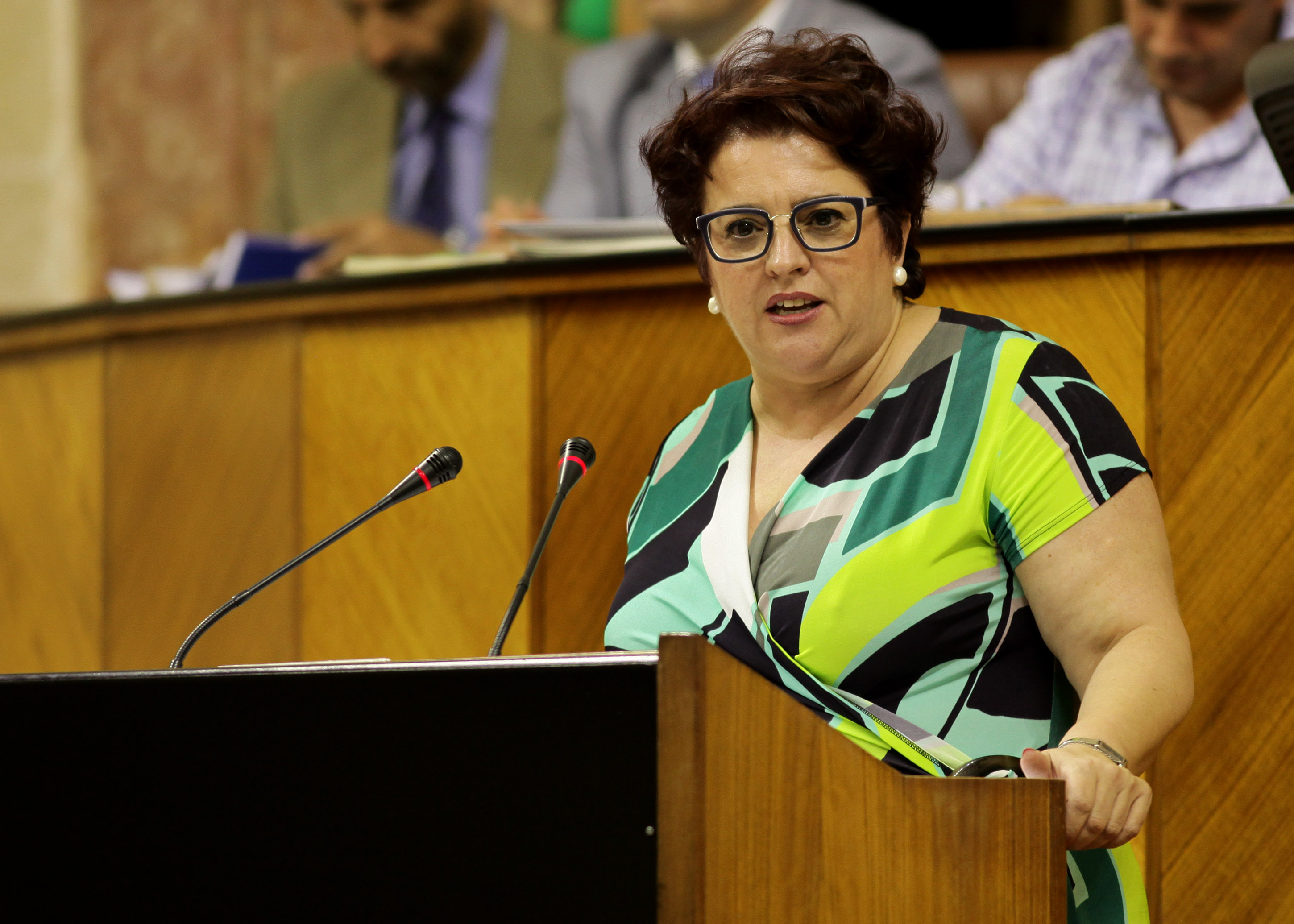 La diputada Teresa Jimnez presenta una proposicin del Grupo Socialista sobre el aislamiento ferroviario de Granada