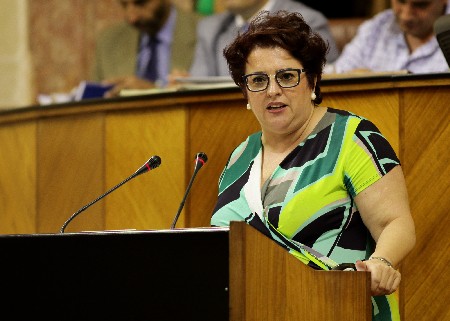 La diputada Teresa Jimnez presenta una proposicin del Grupo Socialista sobre el aislamiento ferroviario de Granada
