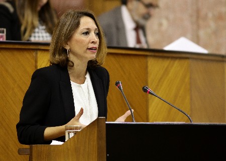 Patricia Navarro, del Grupo Popular, defiende una proposicin sobre suministro de servicios bsicos viviendas fuera de ordenacin en Andaluca