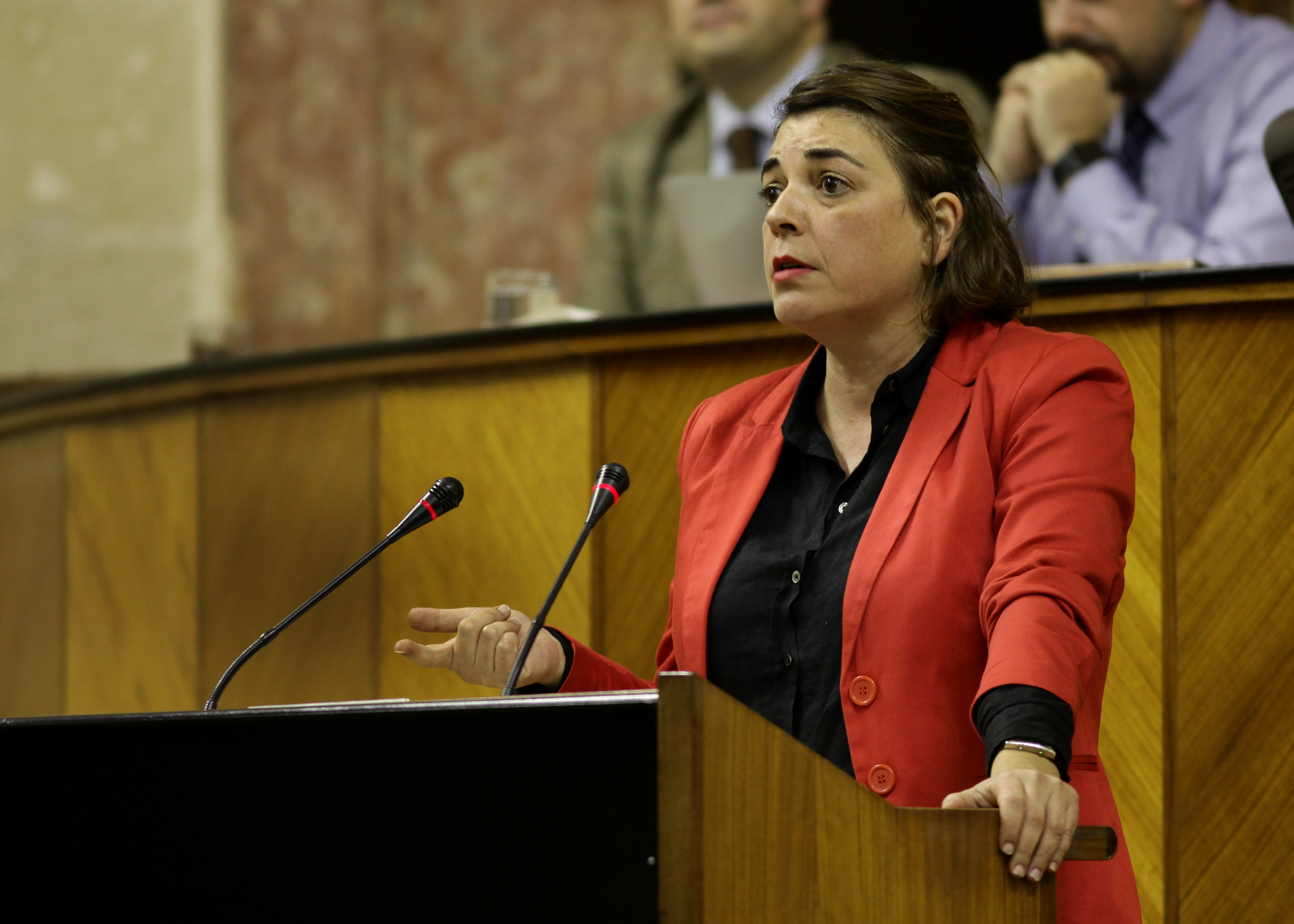 Elena Cortés, del Grupo parlamentario IULV-CA