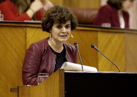 La portavoz adjunta del Grupo Podemos, Esperanza Gmez