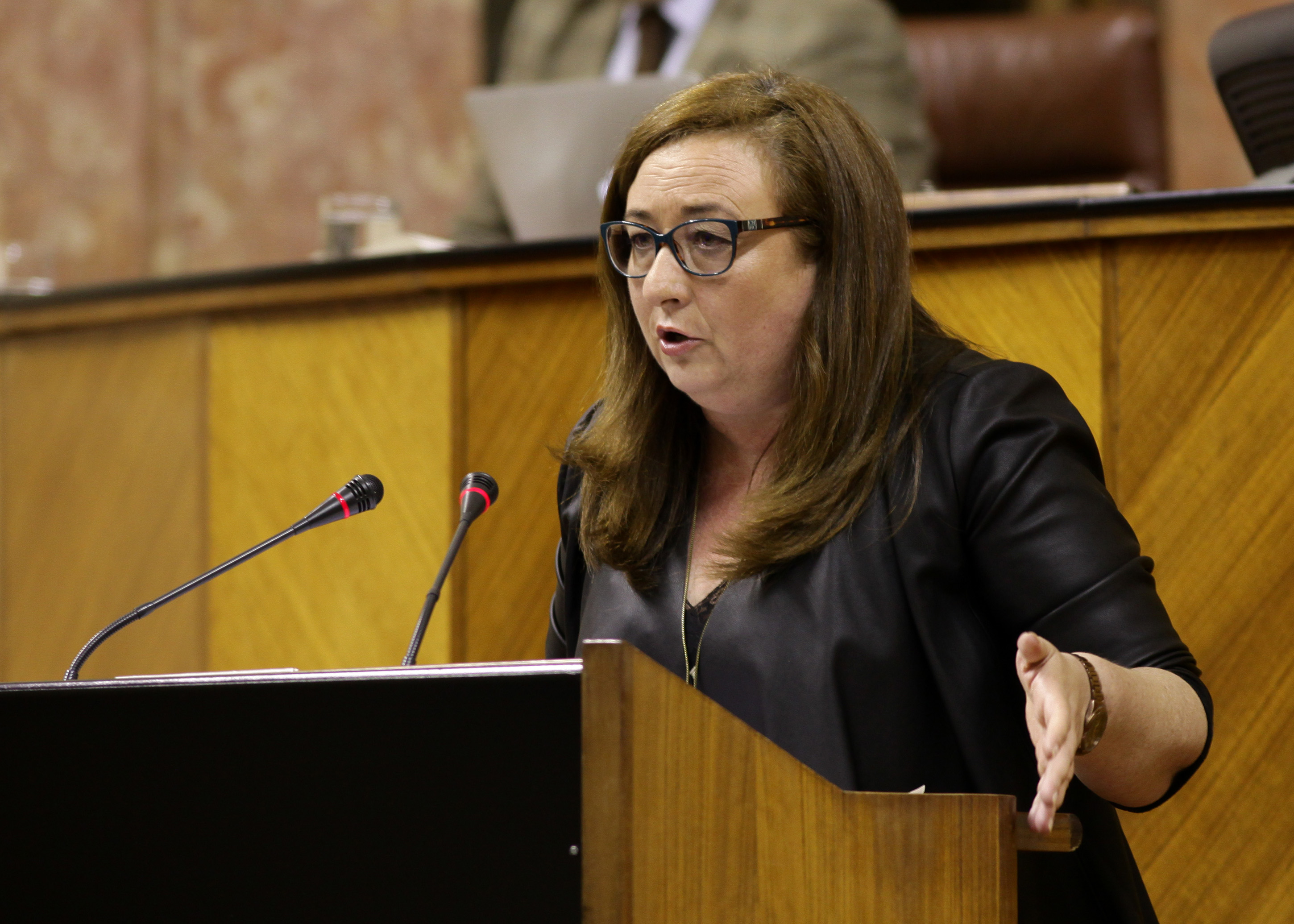 Mara Soledad Prez, del Grupo parlamentario Socialista