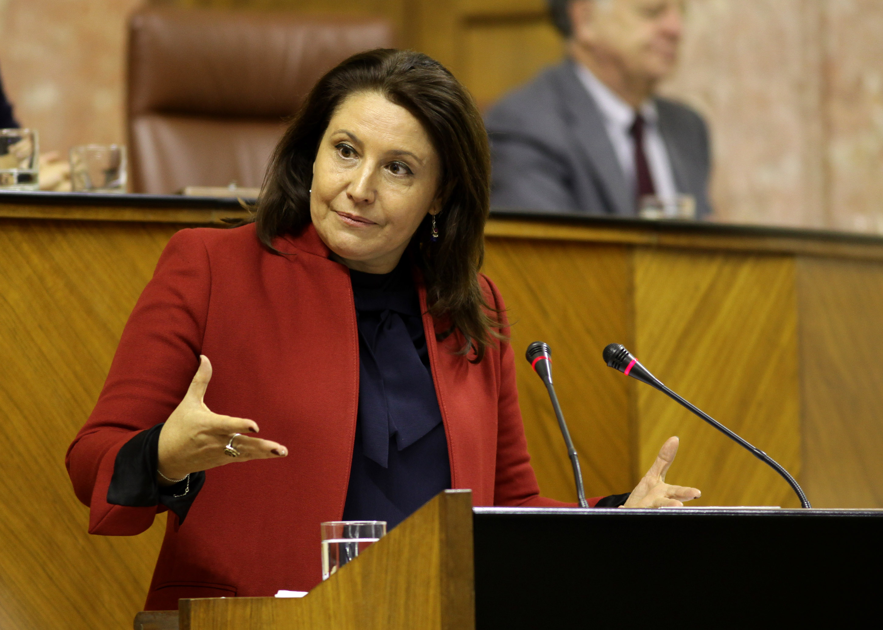 Carmen Crespo, portavoz del Grupo parlamentario Popular, presenta la proposición de reforma de la Ley del Gobierno de Andalucía