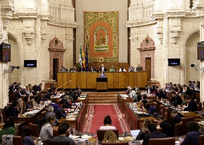 El Pleno del Parlamento, en el debate final del proyecto de Ley de Memoria Histrica y Democrtica de Andaluca