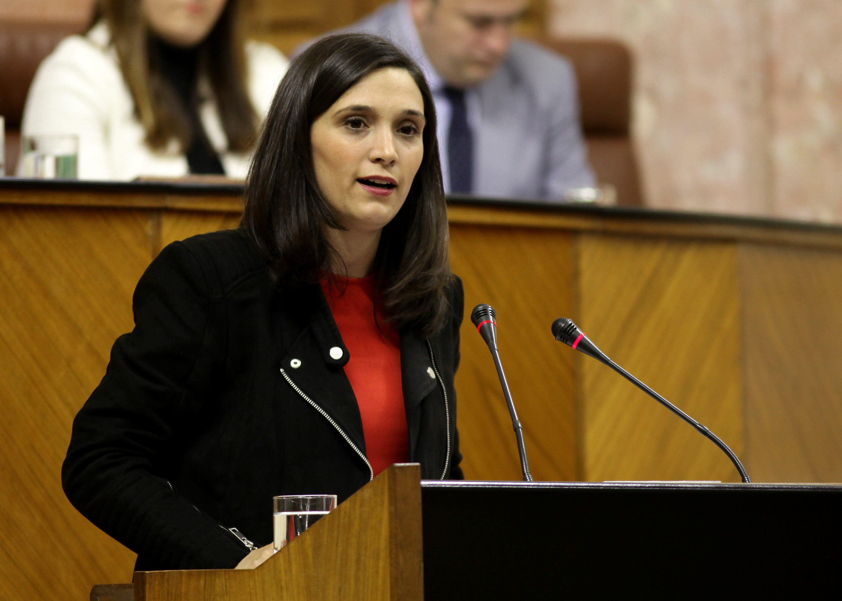Mara Mrquez, del Grupo Socialista, en el debate del proyecto de Ley de Memoria 
