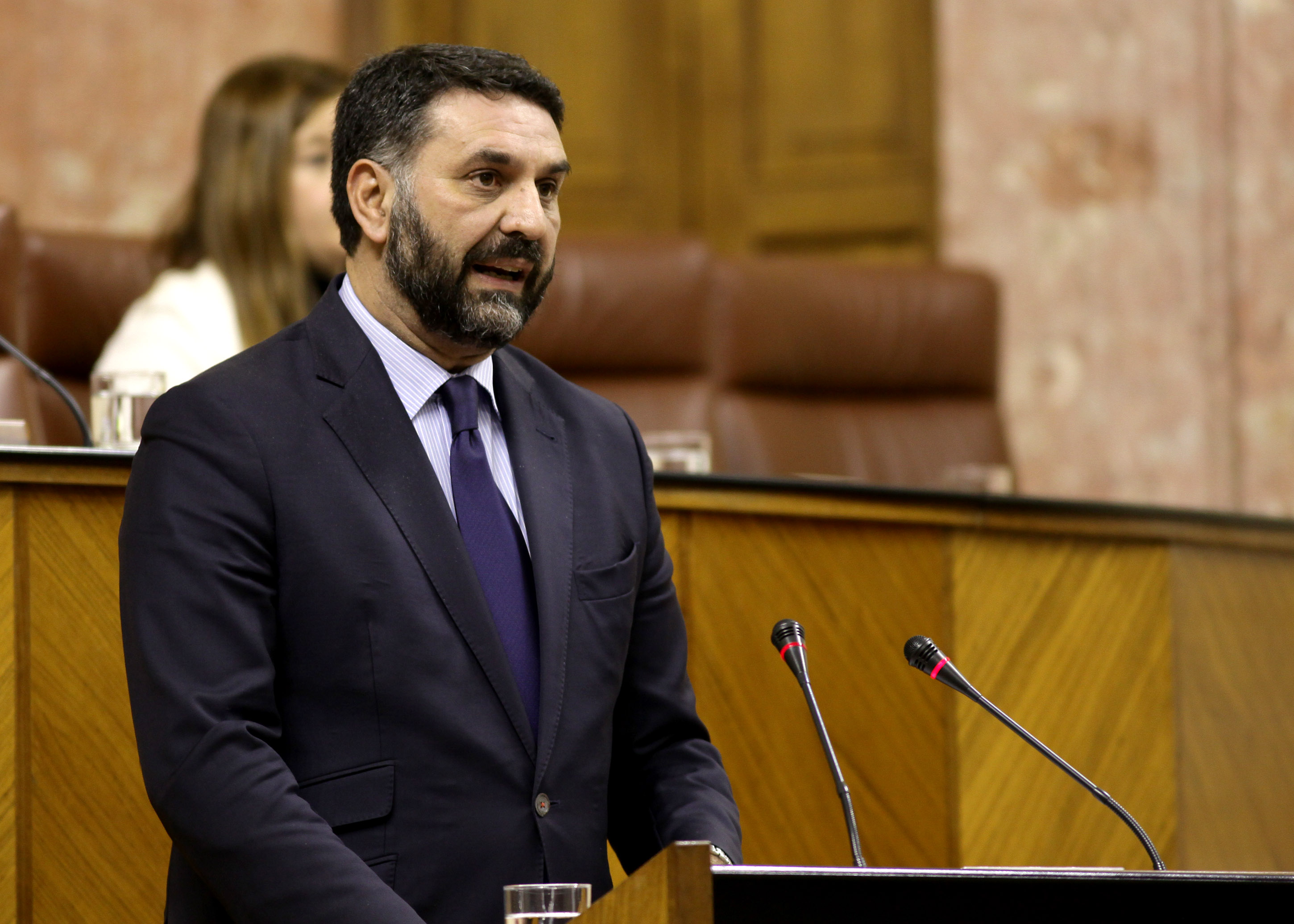 El consejero de Turismo, Javier Fernndez, durante su comparecencia