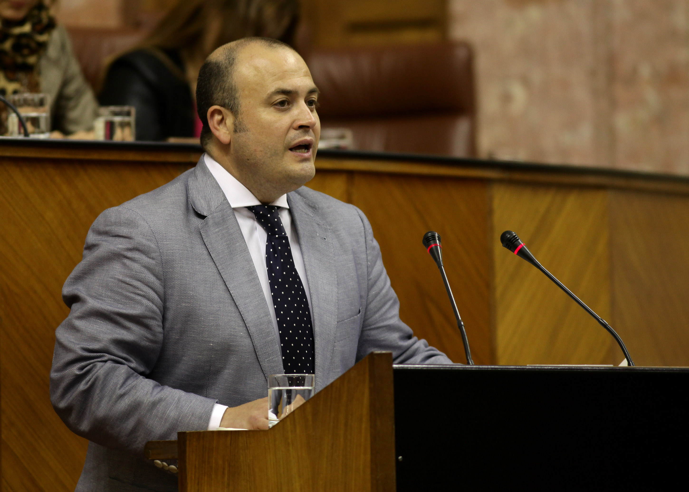 El presidente de la Comisin de Investigacin sobre formacin para el empleo, Julio Daz, presenta al Pleno el Dictamen