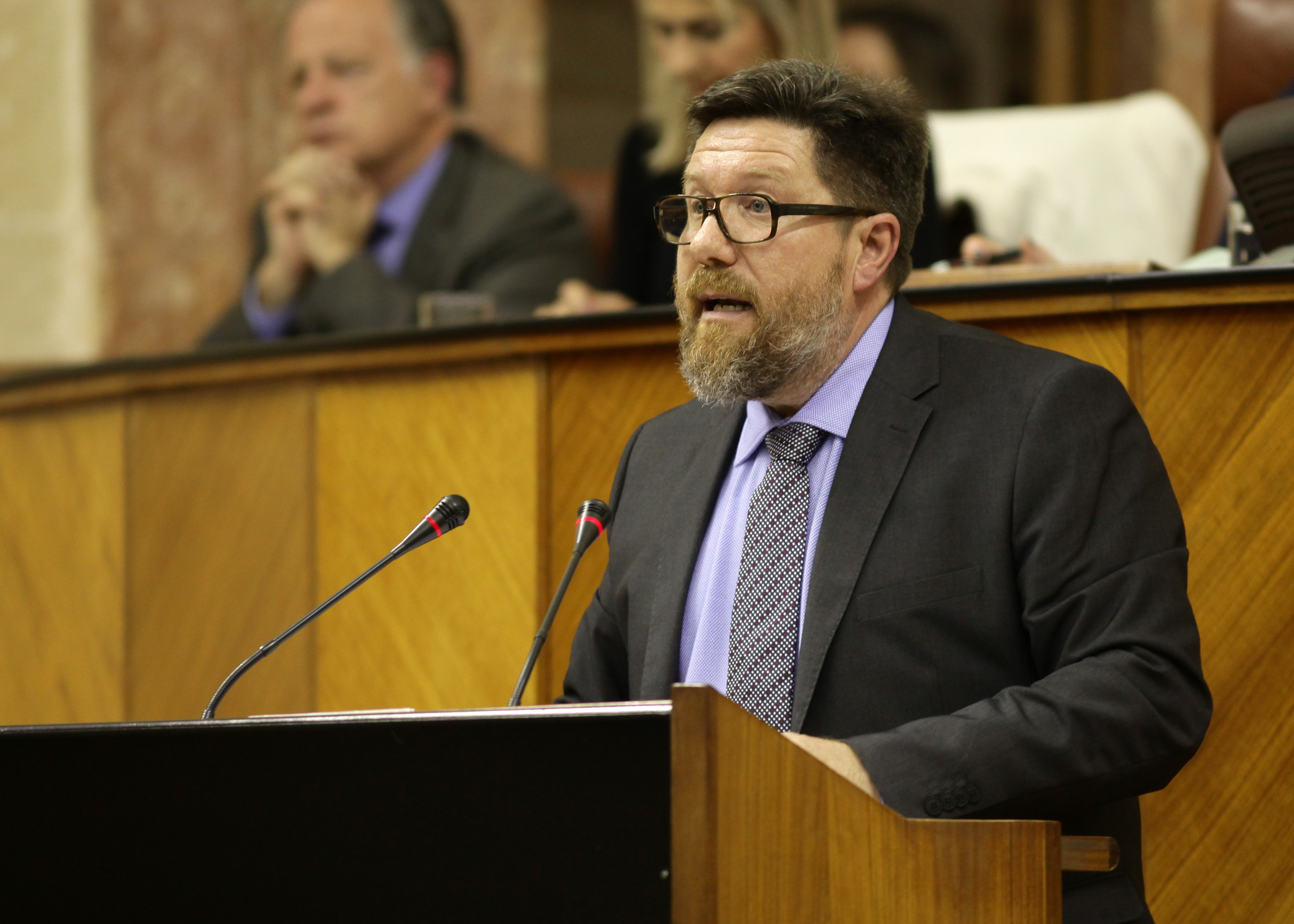 El diputado del Grupo Socialista Rodrigo Snchez Haro se dirige al Pleno