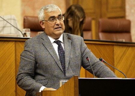 El consejero de Economa y Conocimiento, Antonio Ramrez de Arellano, durante su comparecencia