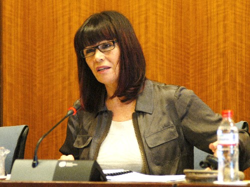 La consejera de Igualdad y Bienestar Social, Micaela Navarro, comparece en Comisi�n